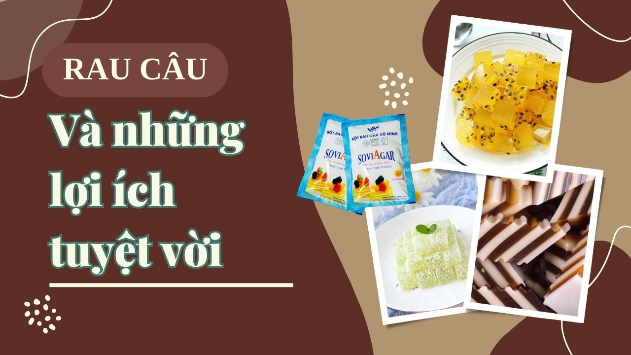 Rau câu và những lợi ích tuyệt vời với sức khỏe, bạn có biết?